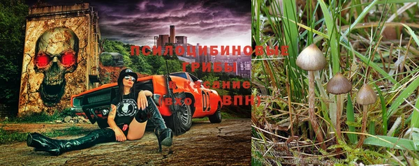 MDMA Premium VHQ Волоколамск